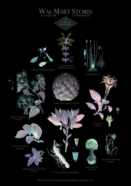 Suzanne Treister, HFT The Gardener/Botanical Prints /  Rank 10: Wal-Mart Stores - US - General retailers, 2014-15