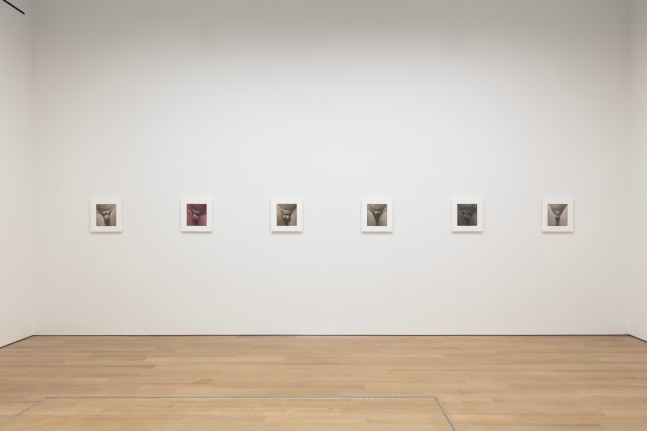 2021_RUINS_install 4