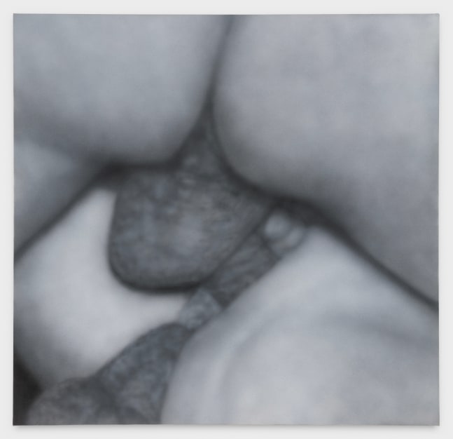 Betty Tompkins, Fuck Painting #50, 2014