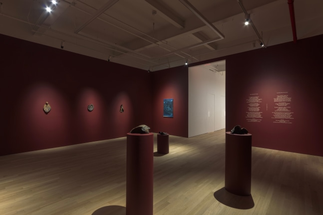 Daniel Correa Mej&iacute;a