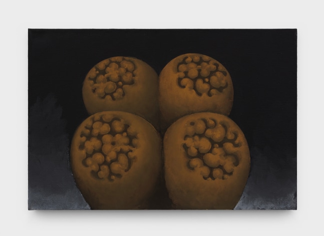 Martin Wong, Double Lithops, 1997-98
