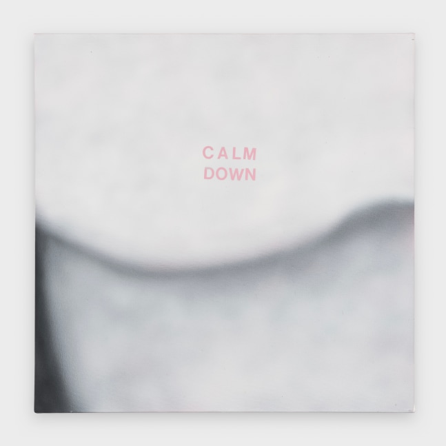 Betty Tompkins
Calm Down, 2023
acrylic on canvas
24 x 24 ins.
61 x 61 cm