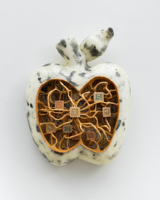 Joel Dean, Path Morphology and Core Individuation in Centrifugal Expansion Models (Ambrosia)