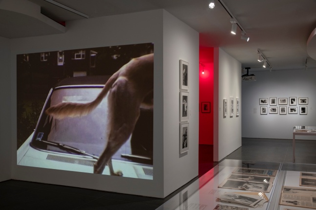 Jimmy DeSana: Submission