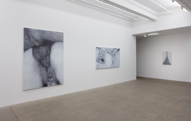 Betty Tompkins, Virgins, install 3