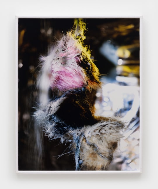 Diane Severin Nguyen
Cruel Cute, 2023
LightJet C-print, custom upholstered frame
30 x 24 ins.
76.2 x 61 cm