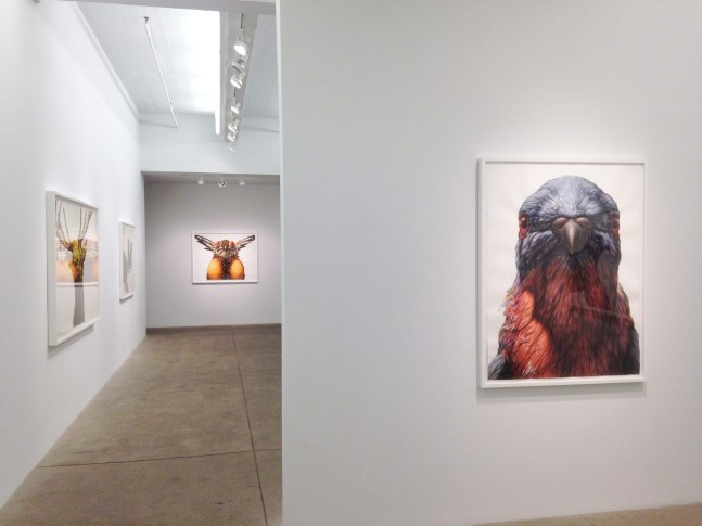 George Boorujy, Passenger install 4