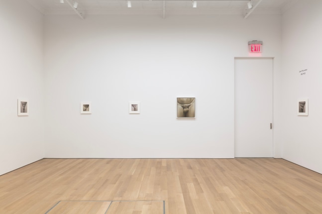 2021_RUINS_install 6