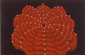 Martin Wong, Gymnocalycium (Star Cactus), 1997-98