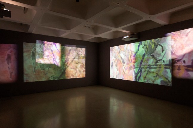 Carolee Schneemann: Body Politics, installation view 4