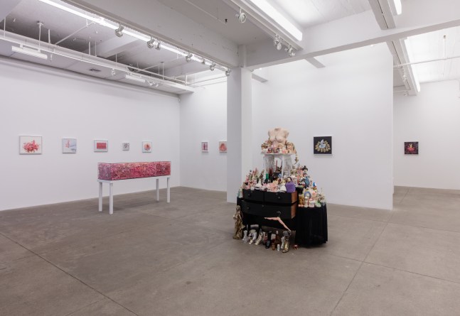 Portia Munson, The Garden, install 2