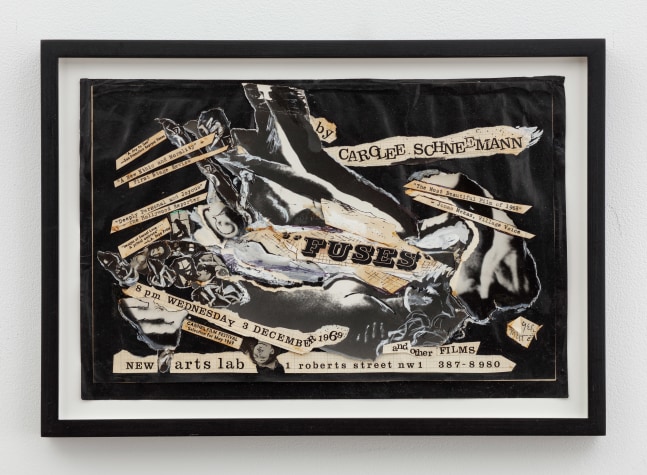 Carolee Schneemann, Fuses