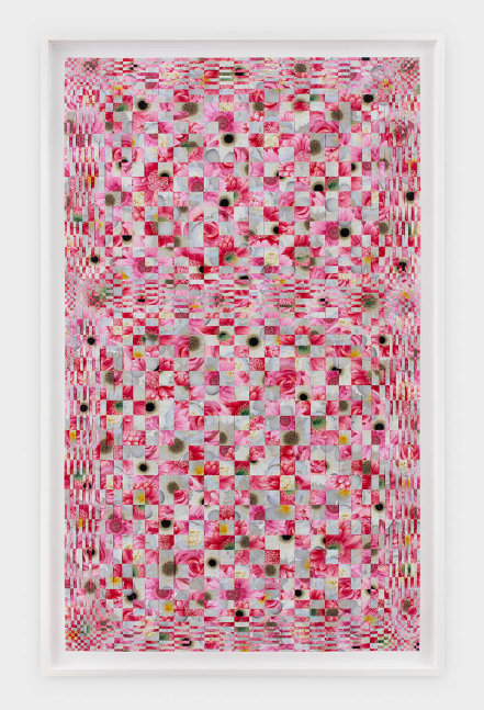 Dinh Q. L&amp;ecirc;

Untitled from the Tapestry Series (red cream gray), 2006

c-print and linen tape

79 1/2 x 47 ins.

201.9 x 119.4 cm