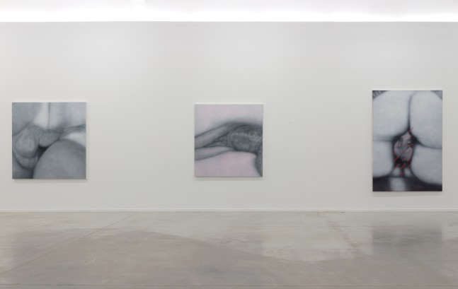 Installation View, Betty Tompkins: Raw Material, MO.CO Montpellier Contemporain, France. Photo by Marc Domage