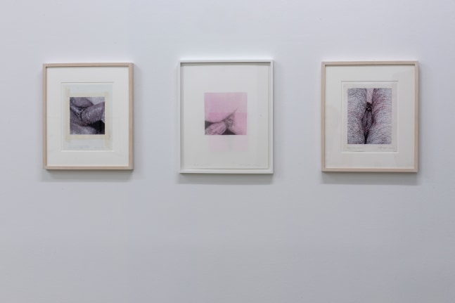 Installation View, Betty Tompkins: Raw Material, MO.CO Montpellier Contemporain, France. Photo by Marc Domage