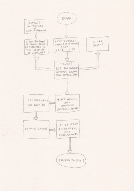 Suzanne Treister, HFT The Gardener/Diagrams/Trading Algorithim using Molecular Formulae of 10 Alkaloids to return feedback on Holographic Dimensions of Consciousness, 2015