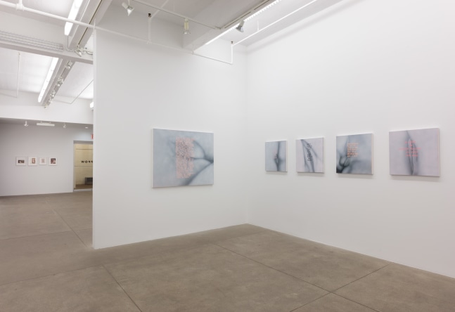 Betty Tompkins, Will She Ever Shut Up? install 9