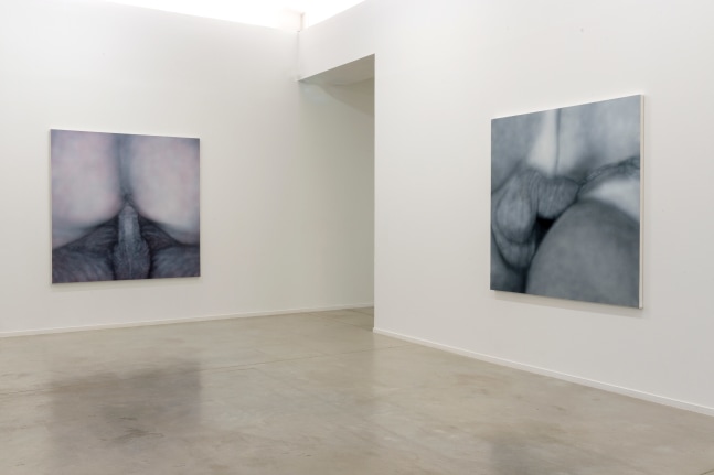 Installation View, Betty Tompkins: Raw Material, MO.CO Montpellier Contemporain, France. Photo by Marc Domage