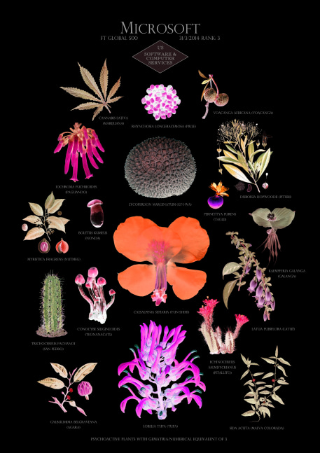 Suzanne Treister, HFT The Gardener/Botanical Prints / Rank 3: Microsoft - US - Software &amp; computer services, 2014-15