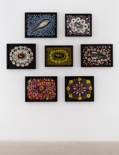 Portia Munson, The Garden, install 10