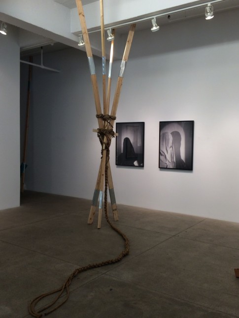 Adam Putnam, Chrysalis III, 2014