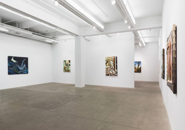 Kyle Dunn, Into Open Air Installation View 3