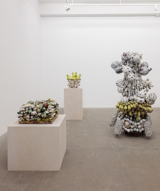 Annabeth Rosen, Tie Me to the Mast, install 8