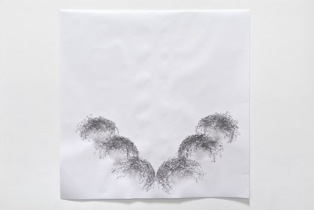 Tony Orrico​​​​​​​, Penwald: 5: wrists on a walk (WhyNot!, W139, Amsterdam, NL), 2011