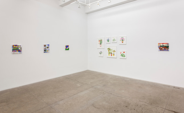 Bloomfield, install 3