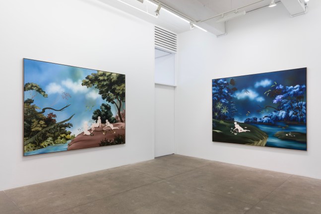 Sanam Khatibi, An hour before the Devil fell install 4