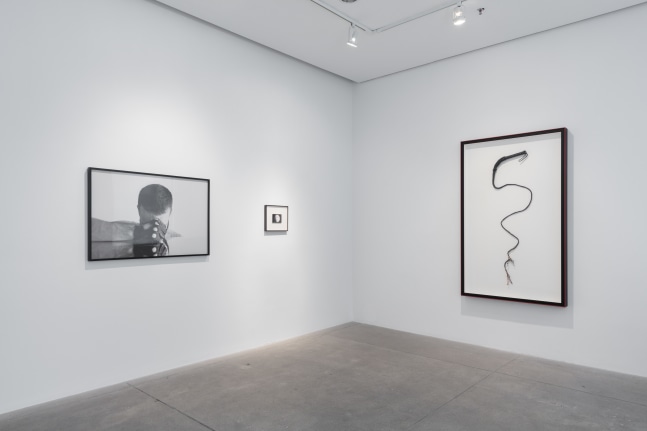 Carlos Motta, Conatus install 2