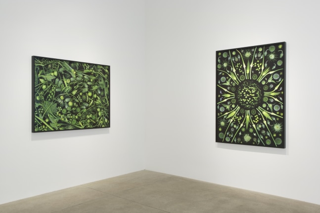 Reflecting Pool, 2013 install 1