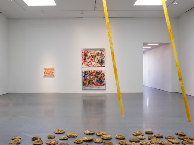 Carolee Schneemann (Installation View) Lisson Gallery, Los Angeles, CA, April 11 &amp;ndash; May 24, 2025