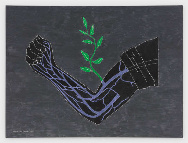 Anton van Dalen, Branch Drafted onto Arm