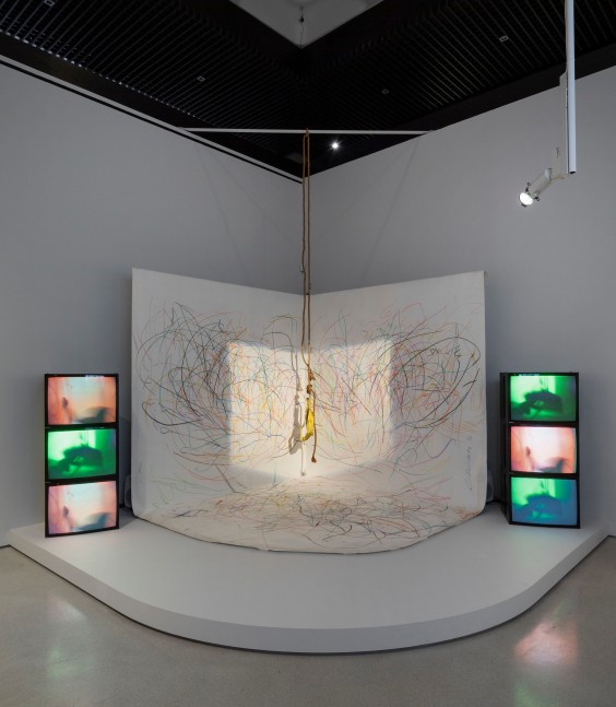 Carolee Schneemann: Body Politics, installation view 5