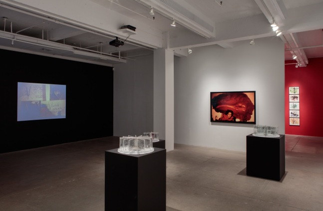 Further Evidence, install 1