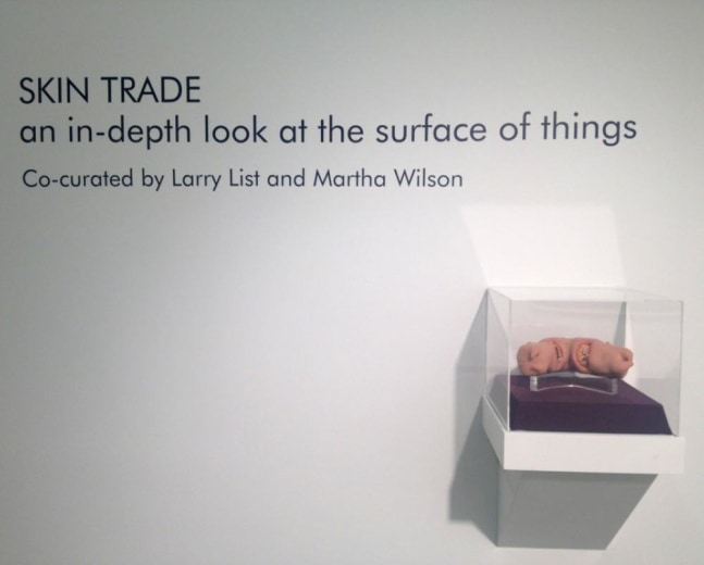 SKIN TRADE, 2013 install 3