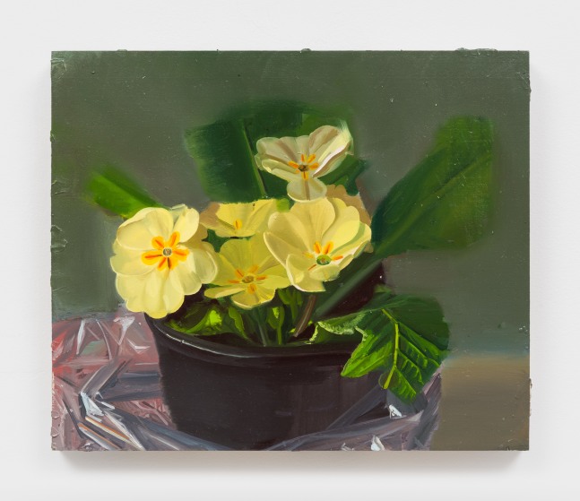Phoebe Helander
Flowers in a plastic bag, 2025
oil on wood
11 3/8 x 13 1/2 x 1 ins.
28.9 x 34.3 x 2.5 cm