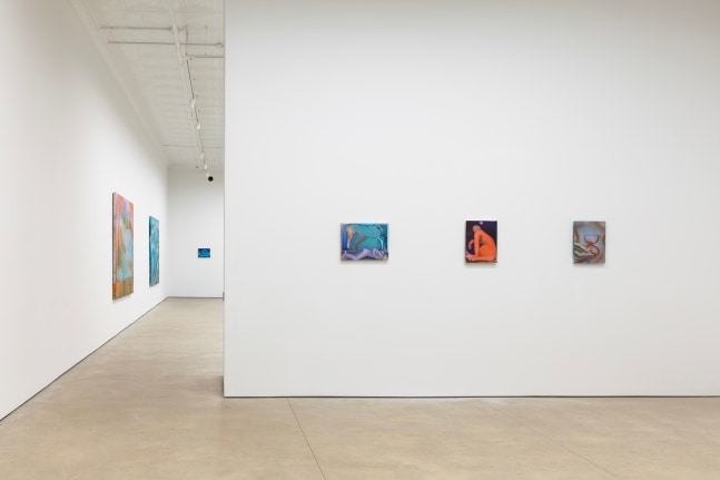 Elizabeth Glaessner, Phantom Tail install 3