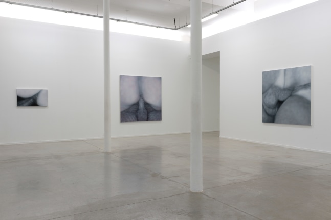 Installation View, Betty Tompkins: Raw Material, MO.CO Montpellier Contemporain, France. Photo by Marc Domage