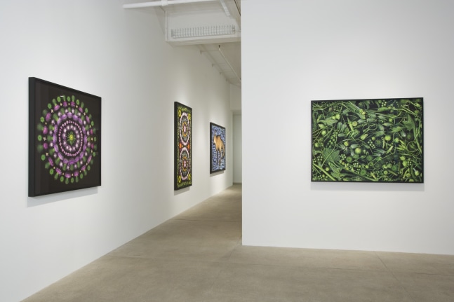 Reflecting Pool, 2013 install 4