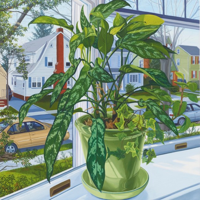 Jessica Rohrer, Plant in Window, 2015