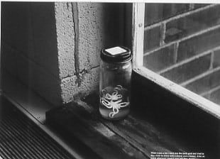 David Wojnarowicz

When I was a Kid, 1990

unique silver print

13&amp;nbsp;1/2 x 19 ins.

57.8 x 68.6 cm

&amp;nbsp;