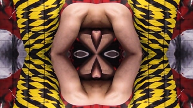 Hunter Reynolds, Mummification Heart Transformations, 2012