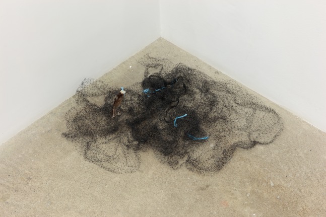 Carolee Schneemann, Kinetic Action: Where's Niña?