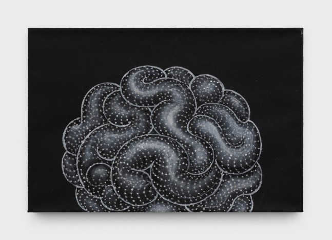 Martin Wong
Mammillaria wildii crest, 1997-98
acrylic on canvas
20 x 30 ins.
50.8 x 76.2 cm