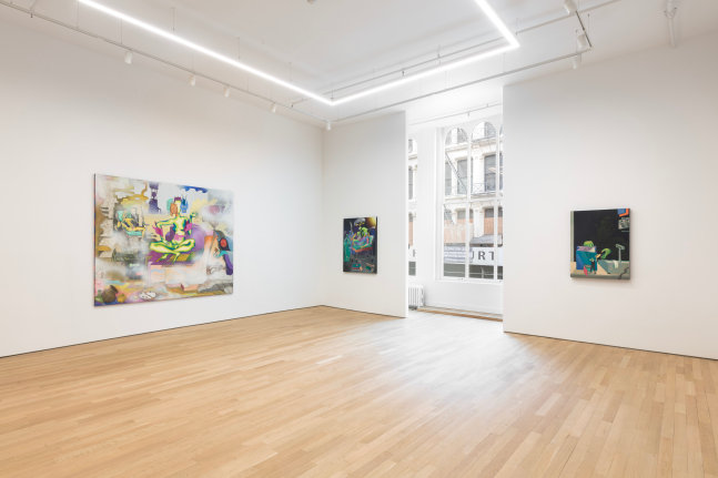 Hortensia Mi Kafchin