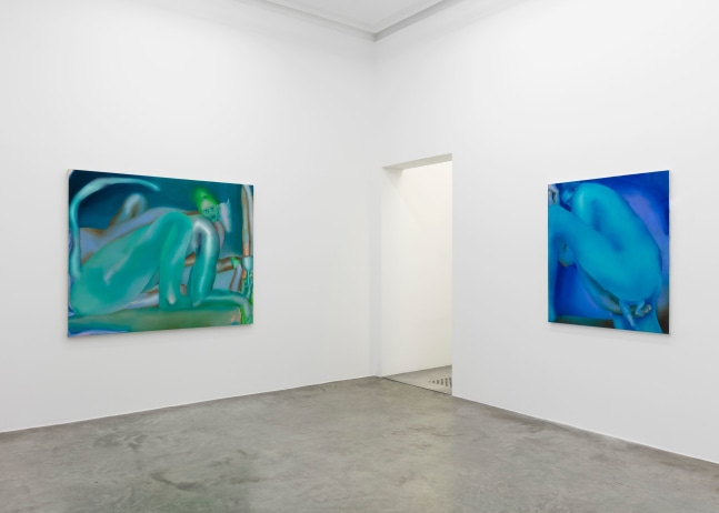 Elizabeth Glaessner, Dead Leg, installation view 12