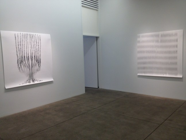 Tony Orrico, Petrified Acts, install 4