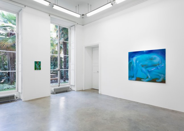 Elizabeth Glaessner, Dead Leg, installation view 11